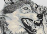 (image for) The Alpha